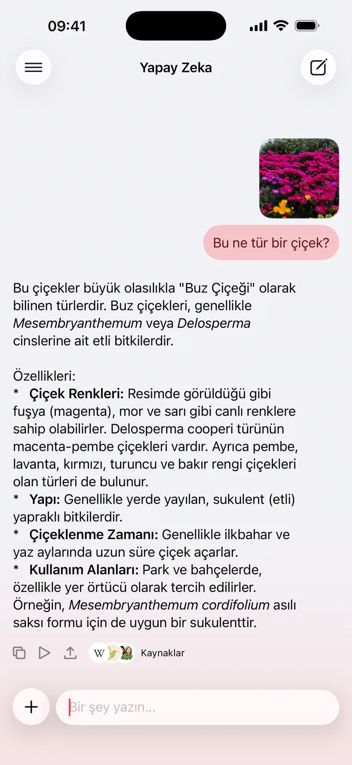 Bir çiçeğin fotoğrafını kaynaklarıyla açıklayan sohbet ekranı